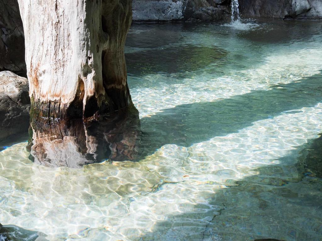 Yusenkaku Otel Yatsushiro Dış mekan fotoğraf